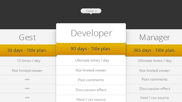 Clean Pricing Table PSD
