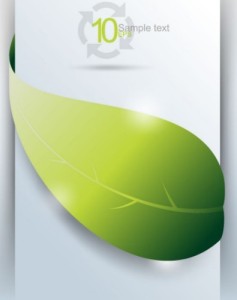 Ecology Concept Vector Cards with Green Leaves 03