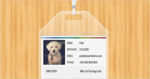 Plastic ID Card