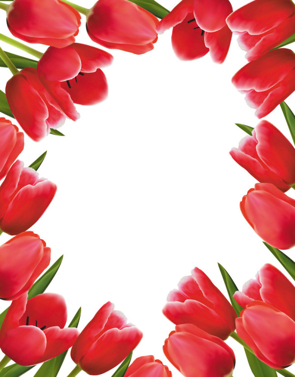Valentine's Day Tulip Vector 02