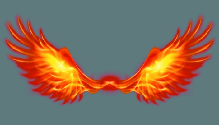 Wings of Fire Vector