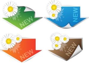 Colorful Sale Tags with White Border and Daisy 02