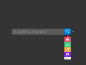 Colorful Search Form PSD