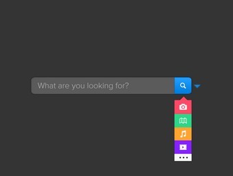 Colorful Search Form PSD