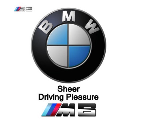 BMW M6 Vector Logo