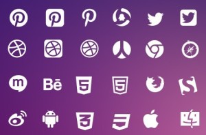 Vector Elegant Social Media Icons