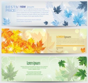 Elegant Vector Banners with Maple Leaf Backgrounds