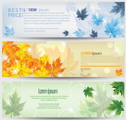 Elegant Vector Banners with Maple Leaf Backgrounds