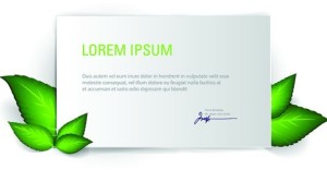 Vector Clean Blank Card Template 02