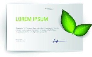Vector Clean Blank Card Template 04