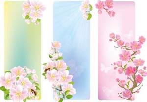 Colorful Vector Floral Banners 02