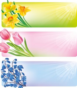 Colorful Vector Floral Banners 03