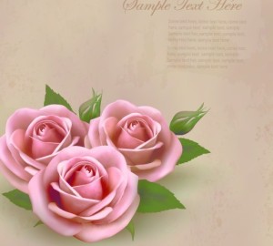 Greeting Card Blank Sheet For Text Vector 03