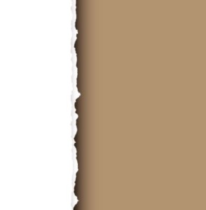 Vector Ripped and Torn Paper Texture 01