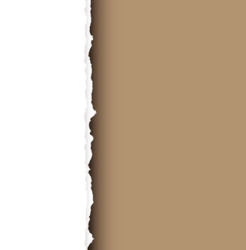 Vector Ripped and Torn Paper Texture 01