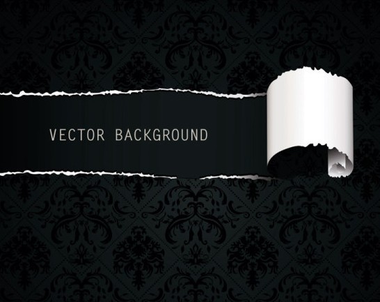Vector Ripped and Torn Paper Texture 03