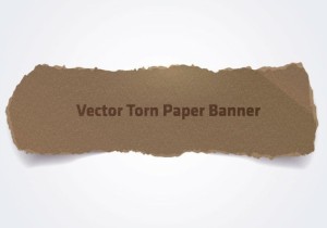 Vector Ripped and Torn Paper Texture 04