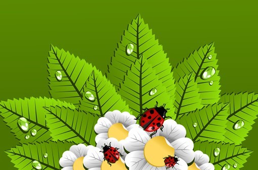 Happy Spring Green Leaves and Flowers Vector 04