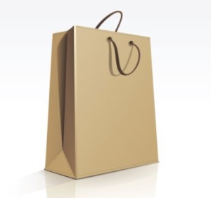 Elegant Vector Paper Shopping Bag Design Template 01