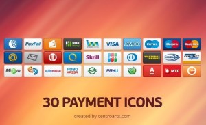30 Small and Clean Payment Icon Set