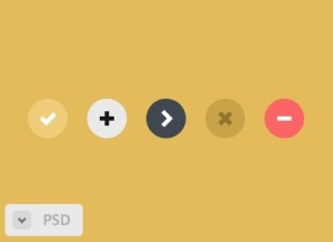 Flat Round Button Template PSD