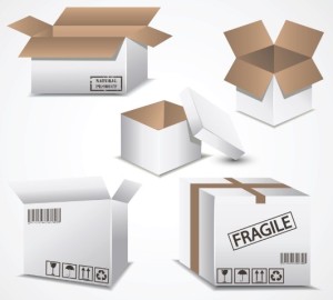 Fragile Natural Product Package Box Design Vector