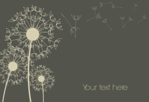 Vector Flying Dandelions Background