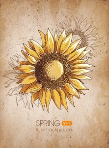 Vintage Spring Sunflower Background 03
