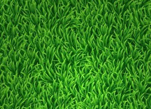 Vector Green Grass Background 01