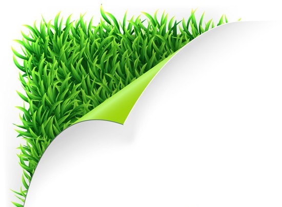 Vector Green Grass Background 02