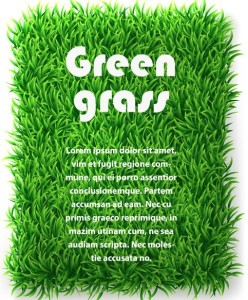 Vector Green Grass Background 03
