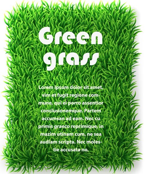 Vector Green Grass Background 03