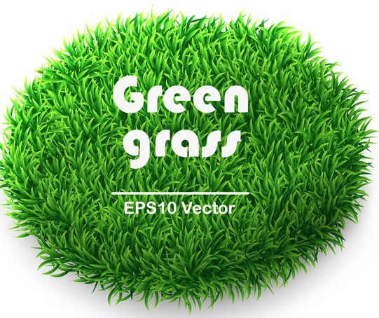 Vector Green Grass Background 04