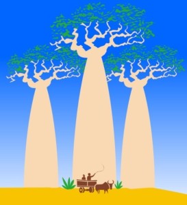 Vector Madagascar Bread Tree Illustration
