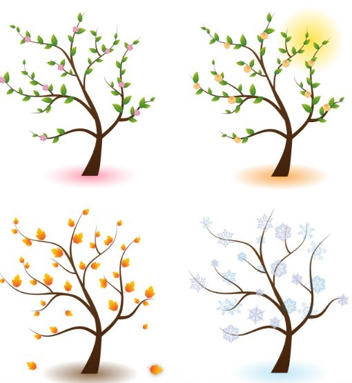 Clean Four Seasons Trees Vector 01