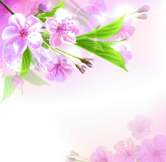 Fantastic Colorful Spring Flower Background 01