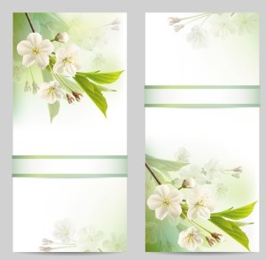 Fantastic Colorful Spring Flower Background 03