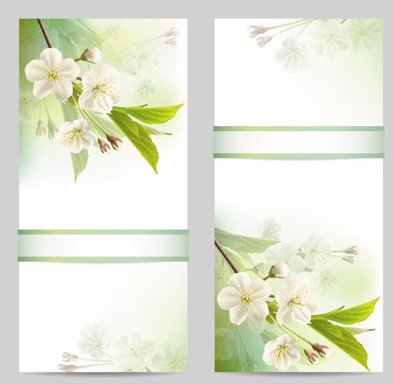 Fantastic Colorful Spring Flower Background 03