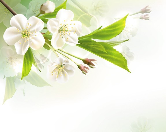 Fantastic Colorful Spring Flower Background 04