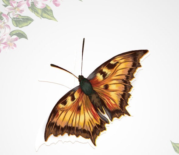 Vintage Spring Floral and Butterfly Background 03