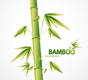 Simple Classical Bamboo Vector Illustration 06