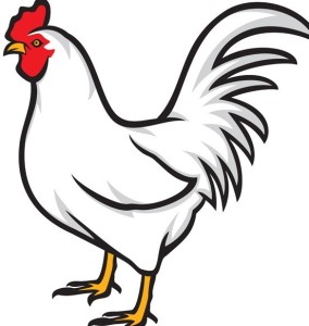 Simple Vector Chicken Illustration 02