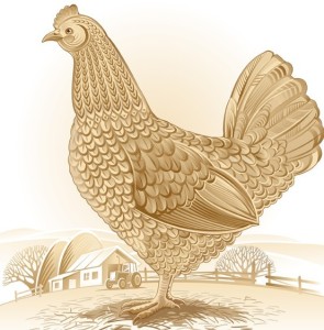 Simple Vector Chicken Illustration 04