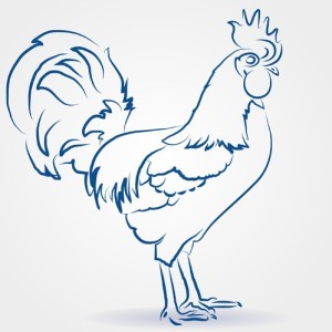 Simple Vector Chicken Illustration 05