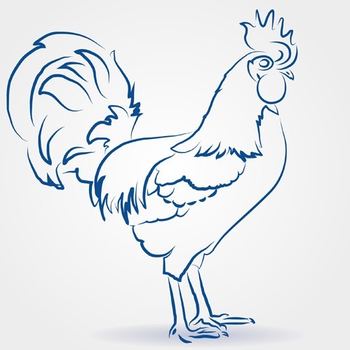 Simple Vector Chicken Illustration 05