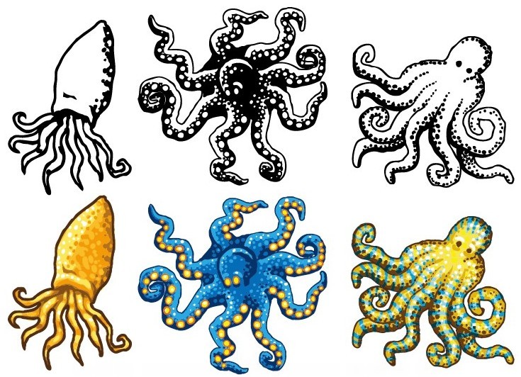 Vector Cartoon Octopus Illustration