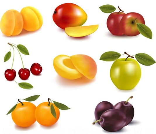 Fresh Fruits Vector Illustration