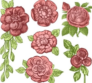 Classic Vintage Hand-painted Flowers Vector 01