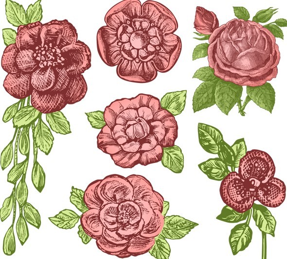 Classic Vintage Hand-painted Flowers Vector 01