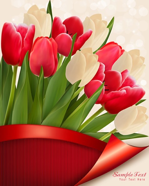 Beautiful Tulip Card Cover Design Template Vector 02